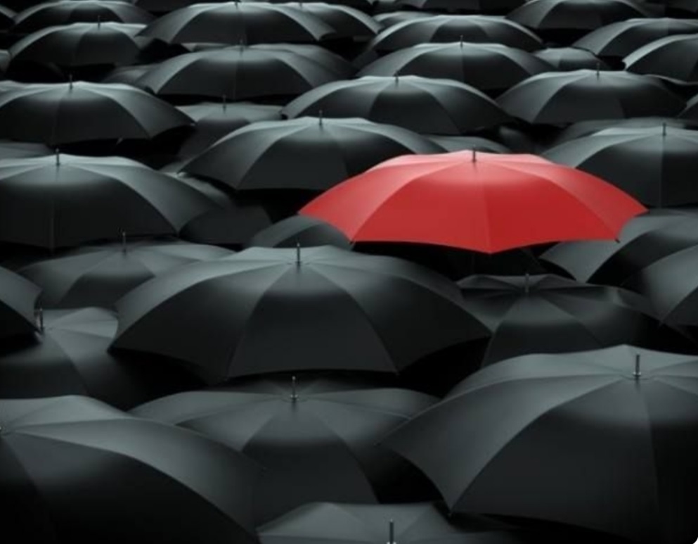 DOĞRU MESLEK SEÇİMİ