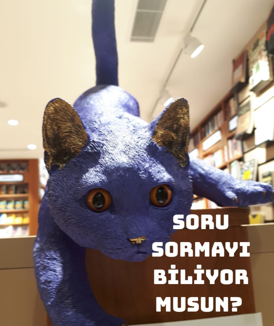 SORU SORMAYI BİLİYOR MUYUZ ?